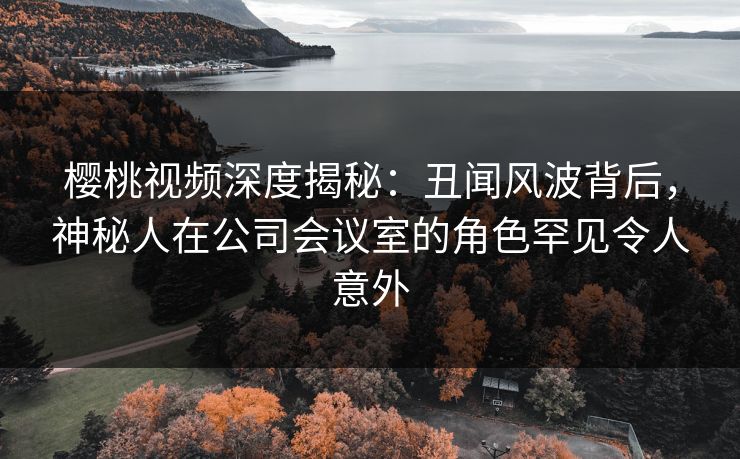 樱桃视频深度揭秘：丑闻风波背后，神秘人在公司会议室的角色罕见令人意外