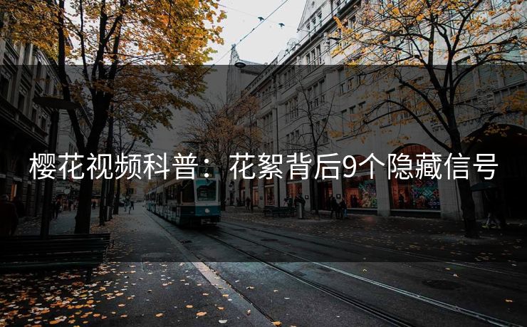樱花视频科普：花絮背后9个隐藏信号