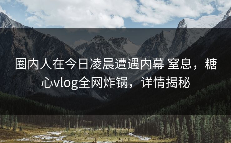 圈内人在今日凌晨遭遇内幕 窒息，糖心vlog全网炸锅，详情揭秘